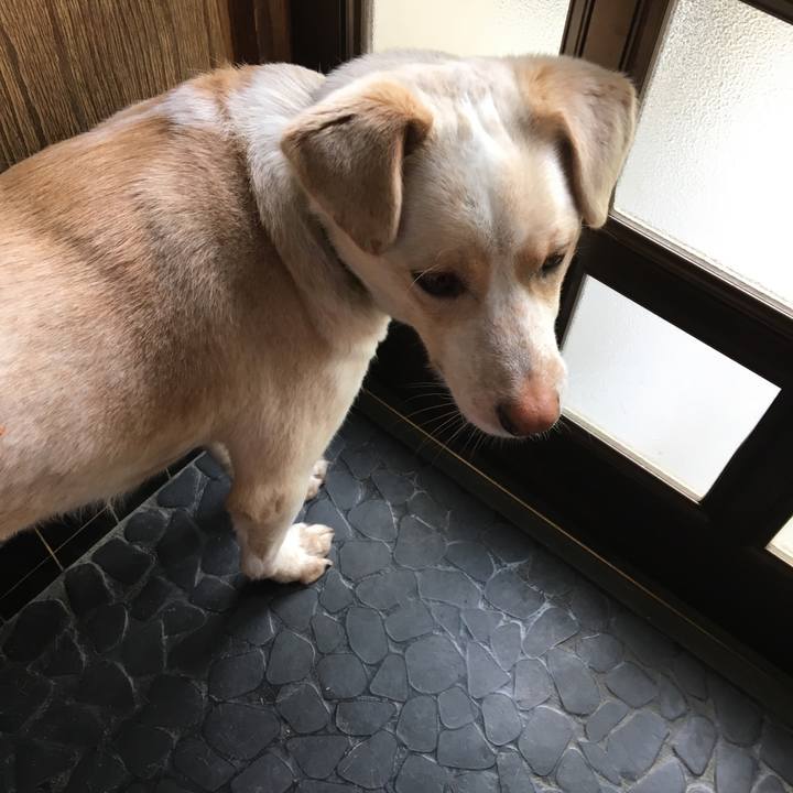 C8f83bdc 4845 4340 bf5d 0fe26f0a4947