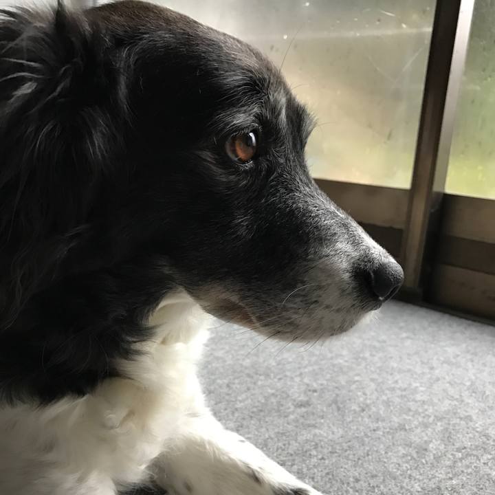 C8f88f0c cdeb 41c0 95e9 3f20b249df73