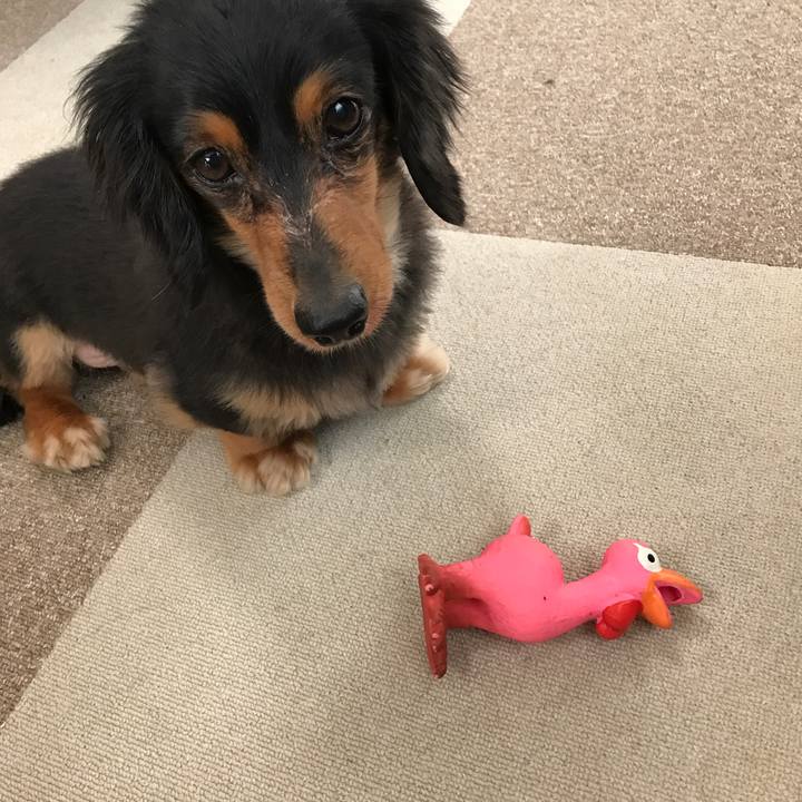 C8f8e0d5 aace 465e a072 1fc6a969382a