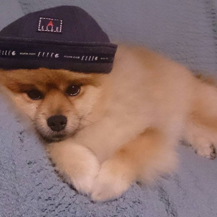 C8f91ab1 599b 48cc 9f68 ed99fa8b9f0f