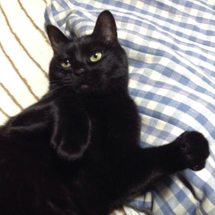 C8f9df12 dda1 483c 8fdd 69be31b29ba4