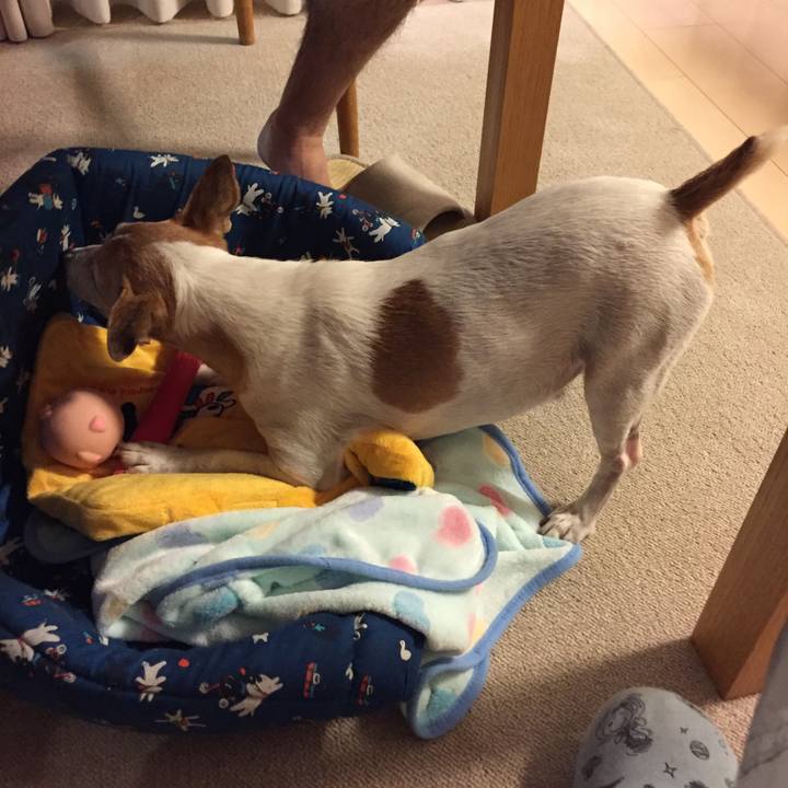 C8fa62ef 2975 4cb3 859c 0c60c5362498