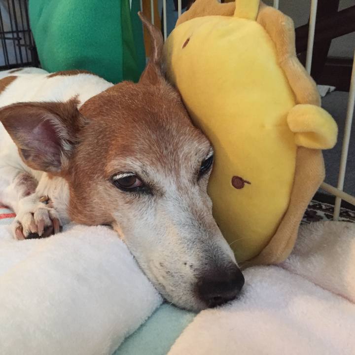 C8faeae8 f9c3 4e9d 9a5c 7c76ad356356