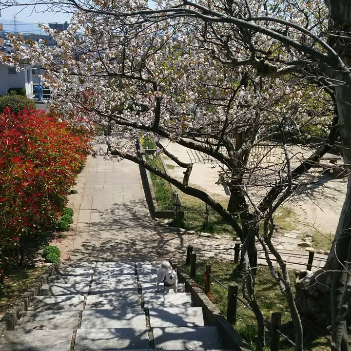 C8fb5ad0 72a4 4f81 a65f a3637acff9ad