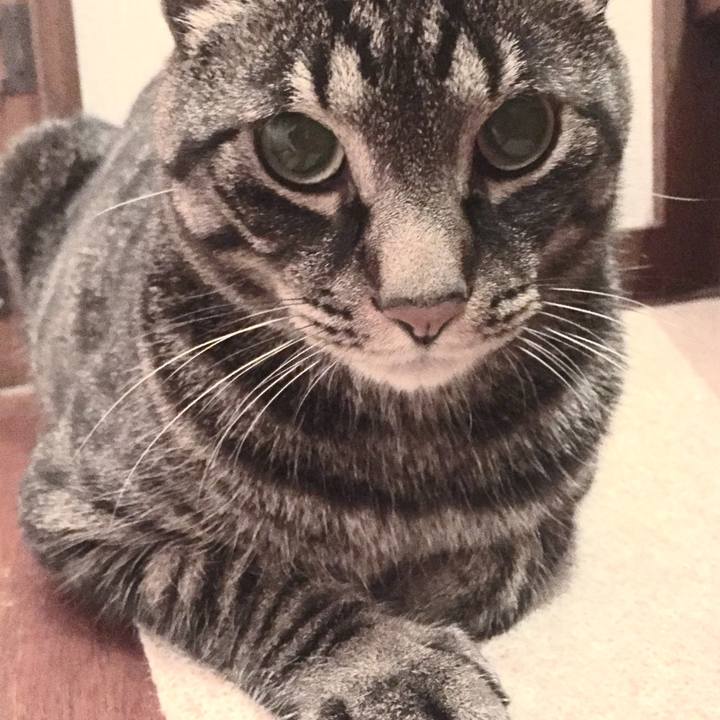 C8fbb027 a1c3 4628 982e f9c604d9a6c3