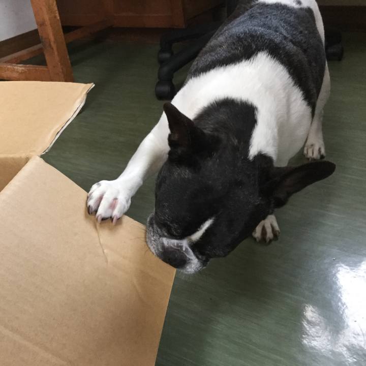 C8fbe9a2 e04f 476f b602 fa0d610cc61a