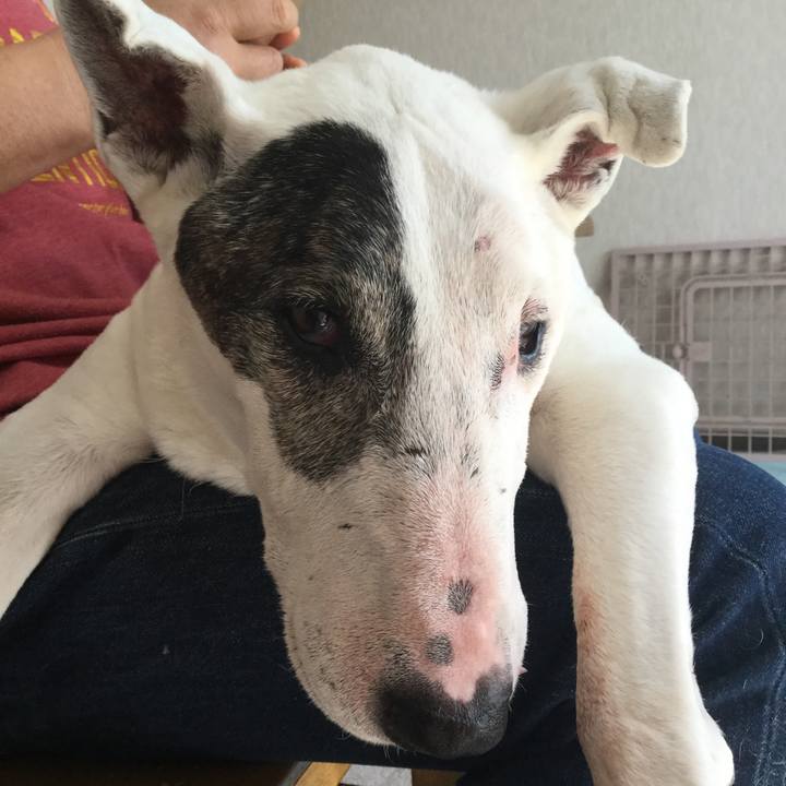 C8fc0ebd 532a 4d74 b934 ca9973702582