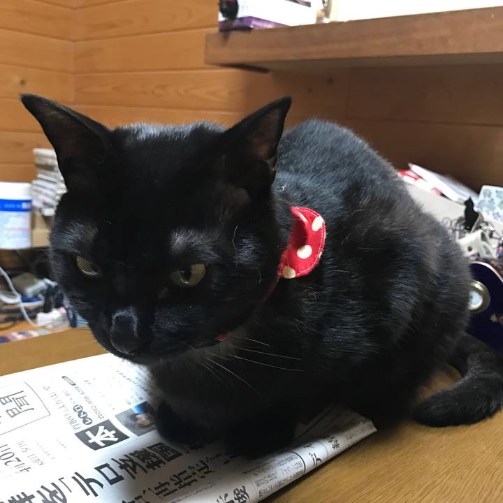 C8fcafef f884 4917 b612 3fbe1c75a4f2