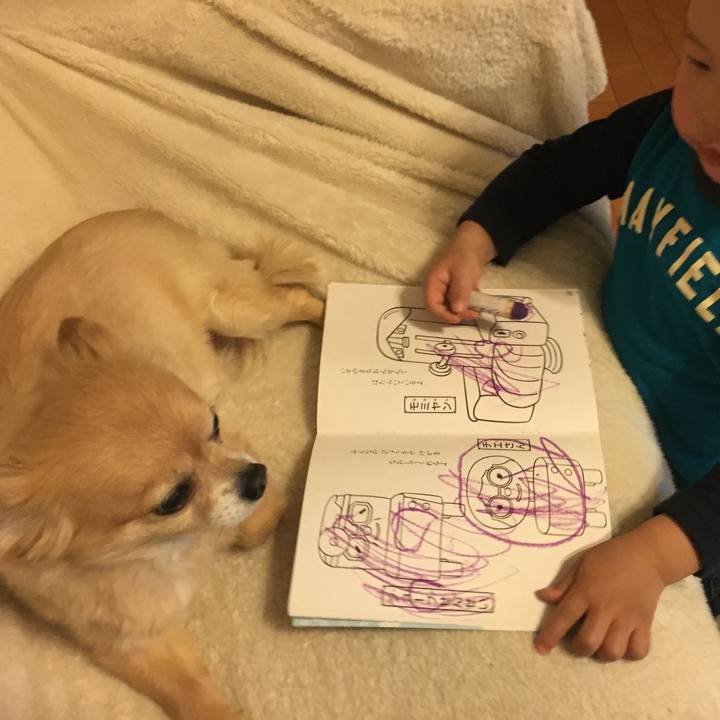 C8fcc645 a8b1 413f b9dc 0b6004215494