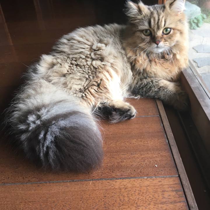 C8fcfb55 0760 4824 9f13 ed94147d08d8