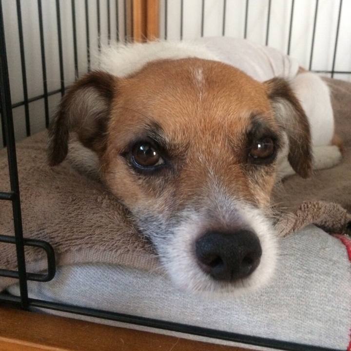 C8fdb7d5 d6e6 4043 a044 effed884ca05