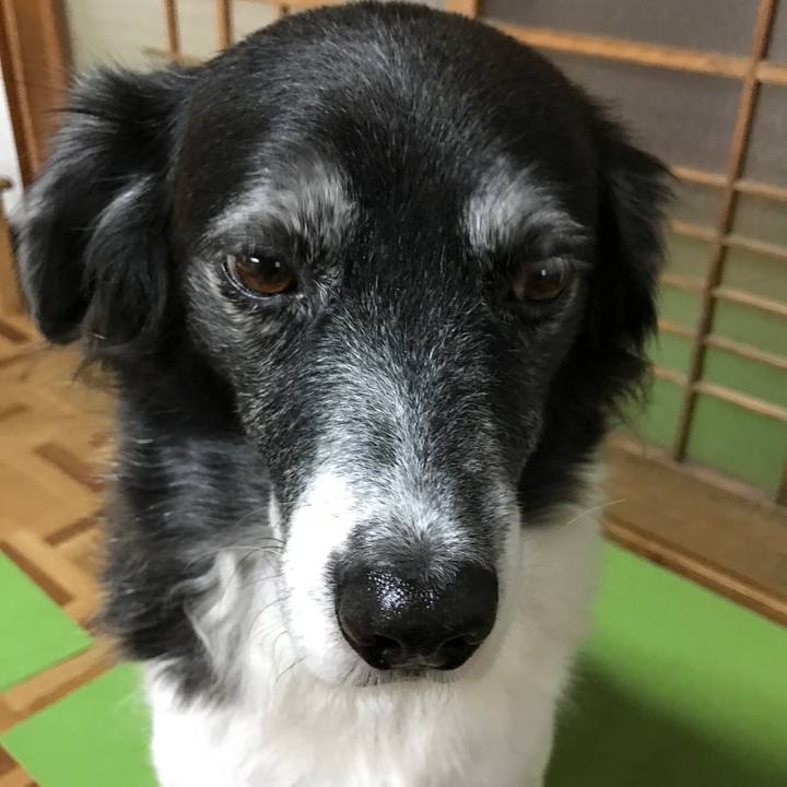 C8fde830 08c4 4318 9fc7 98437ed7eb8a