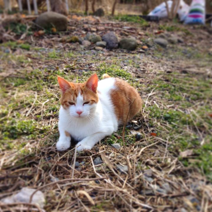 C8fe42fb b64f 4c10 9931 d94120b79fd0