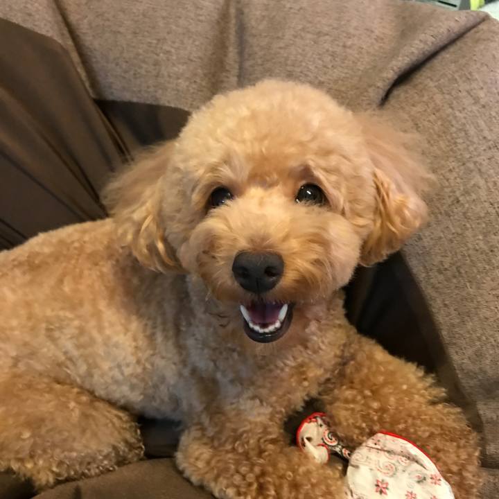 C8fe807a 2eb9 45a0 8837 4e39c67b3410