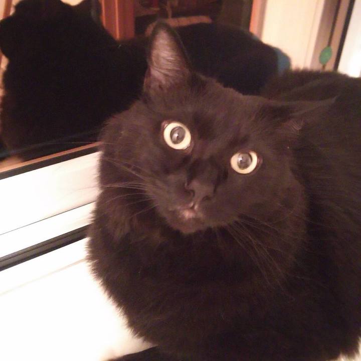 C8fe9c95 2bfb 4167 8f8d 052d7061734a