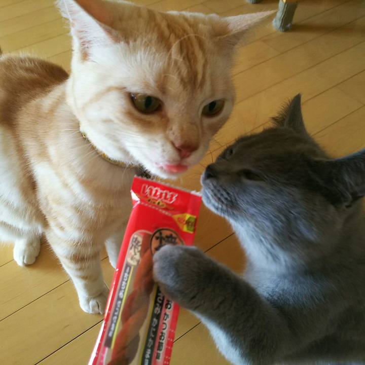 C8ff3c0c 2d77 42af b997 9ddd3ba341eb