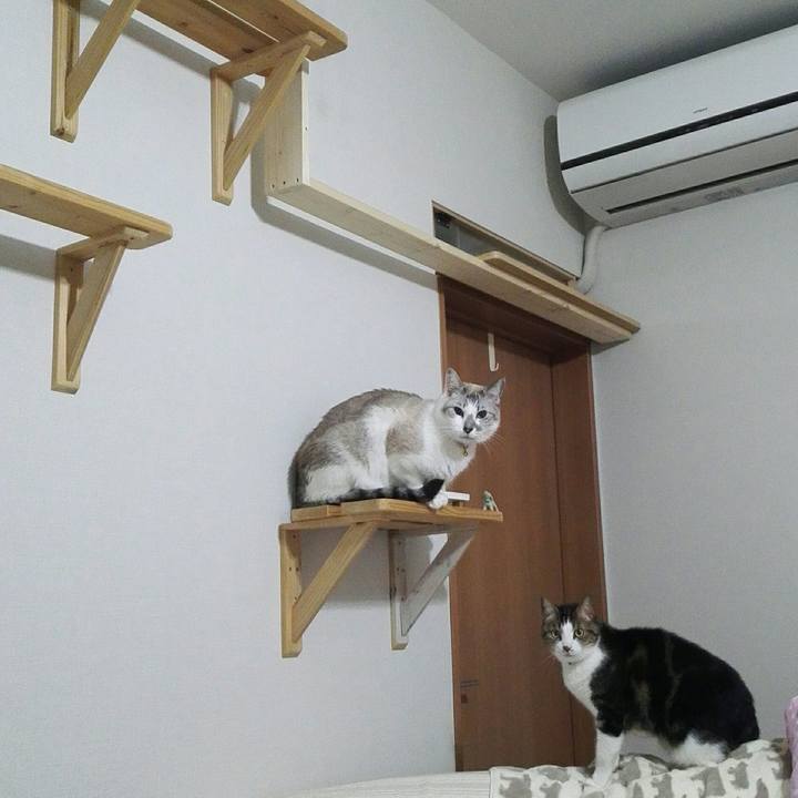 C8ff46bd 27cc 42b5 aff6 43fb5f22d3f0