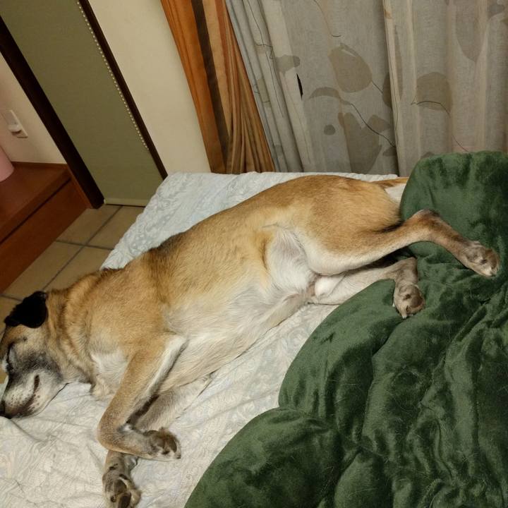 C9008080 9bba 4427 bb47 49b2aeef781d