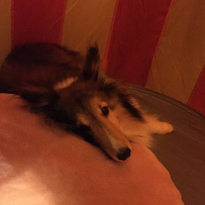 C900e47d 0746 4381 b762 3aef4321268d