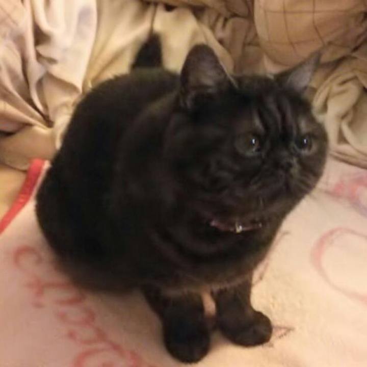 C901699b 0ada 48a6 a4c7 c80559525f04