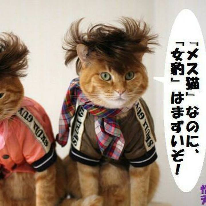 C901fcef 79ac 468f 82f7 1eaff3a0c0ed