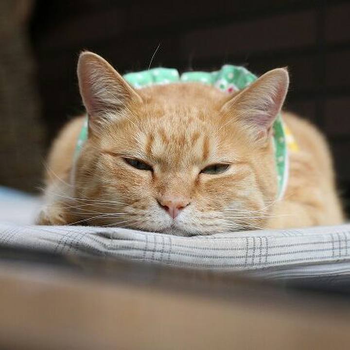 C9021bf3 5e6b 49be 9de4 7359ca520bc7