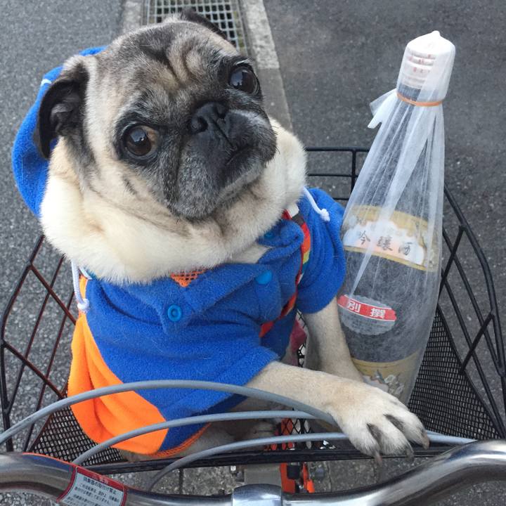 C902760a 94c8 4a61 9de5 0d774a9684d6