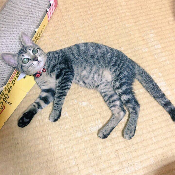 C902d61a b651 4b45 84c4 6809b2966209