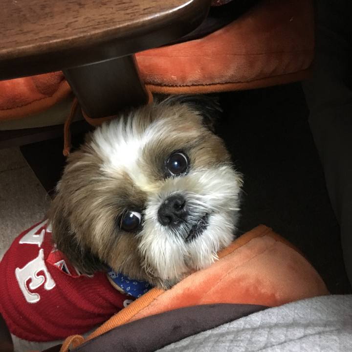 C902de2d 5913 4ad6 ab2e 98342071a70f