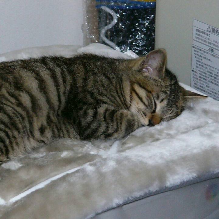 C9030376 3b5c 4c74 b2a9 ddc2261e4b30