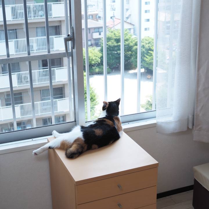 C9037ddc 140e 4988 bd41 35565d7cbd4e