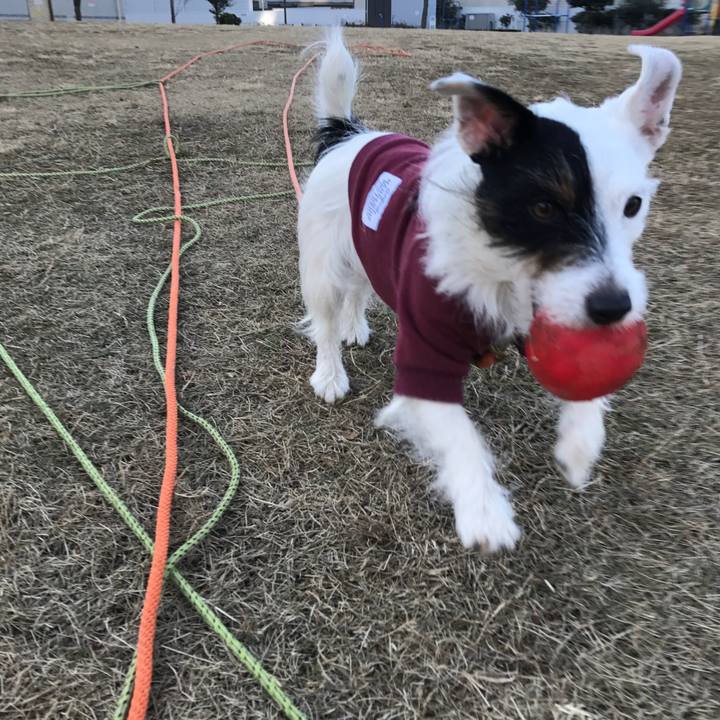 C9051bc9 5ccb 4756 8754 86d3bcedac74