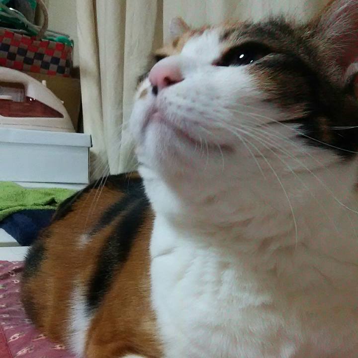 C905555f 4fab 491b bfa0 1639f71316e9