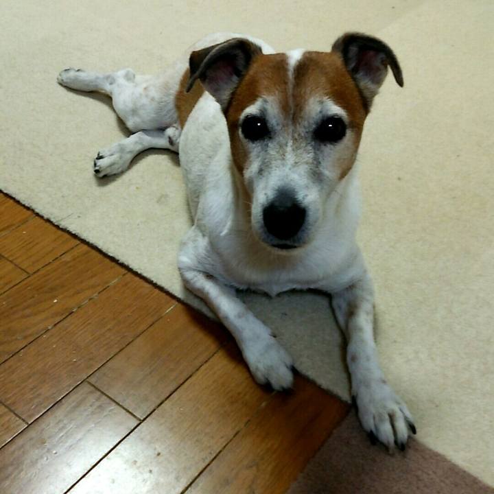 C905bbe5 c7ce 44a1 afe9 bd519d328f55