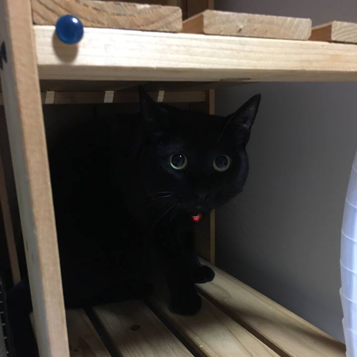 C905c6fa b0e7 425b 9b8a 67750c571ed5