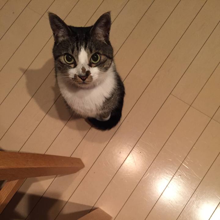 C9064914 54ce 466b bb8c 166f0591cc75