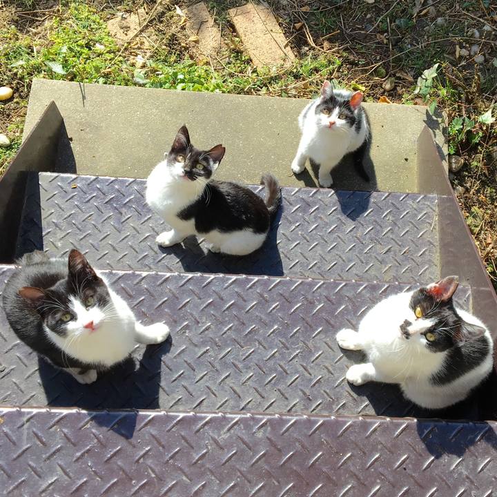 C90670a8 b679 4a4a 8090 be874506284f