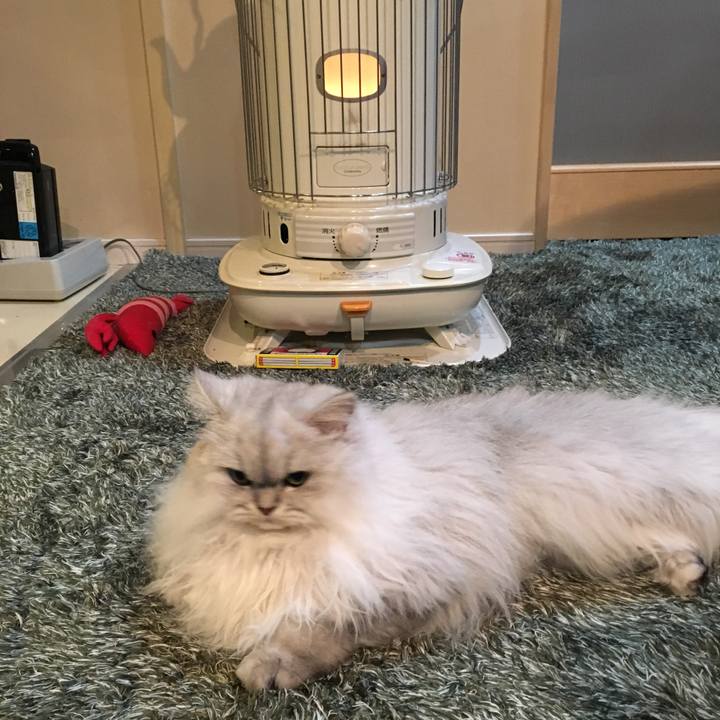 C90742f8 6647 4865 8e34 dcbfbc168c71