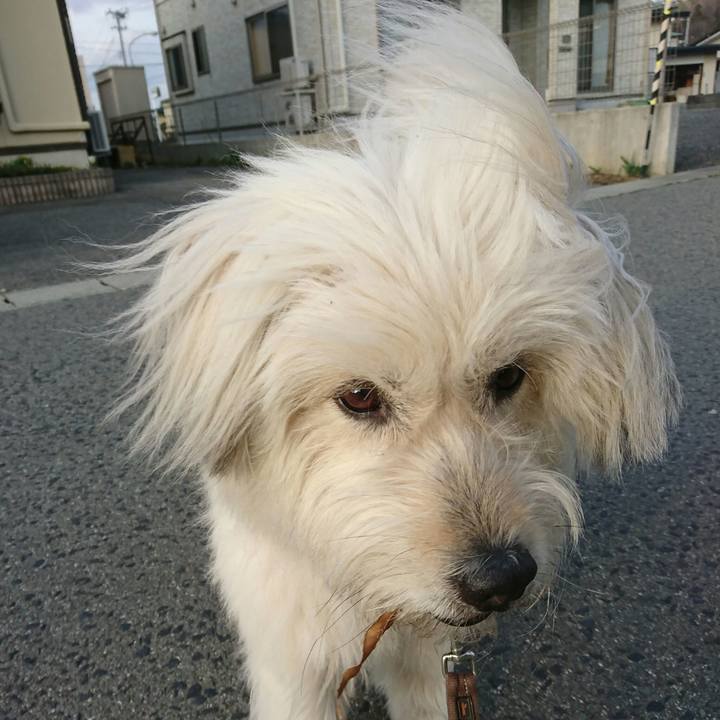 C907b56b d148 47e8 8414 c2ff34ed7c5e