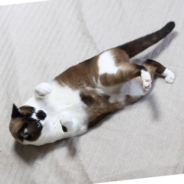 C907e991 3ca7 415a 9fa6 b0400fa31b50