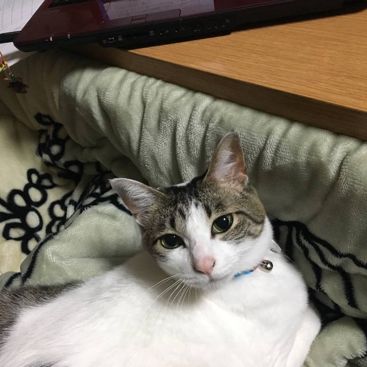 C9084f04 bc7a 4bad becf 2765af9ce765