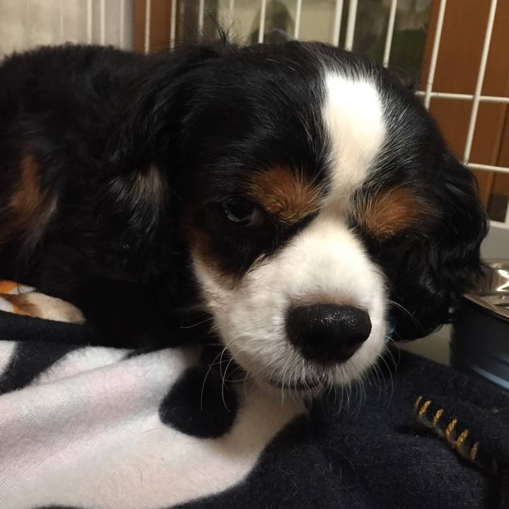 C9090045 7abc 456c b4c3 d1afbc8f301a