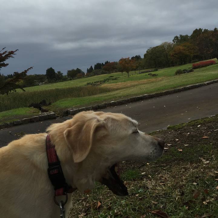 C909a34f ae55 4a32 952a dae2bbee39f2