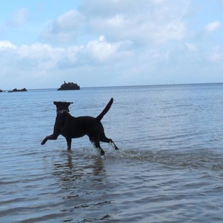 C909ff37 e97b 48fe 844c 3566f0388a08