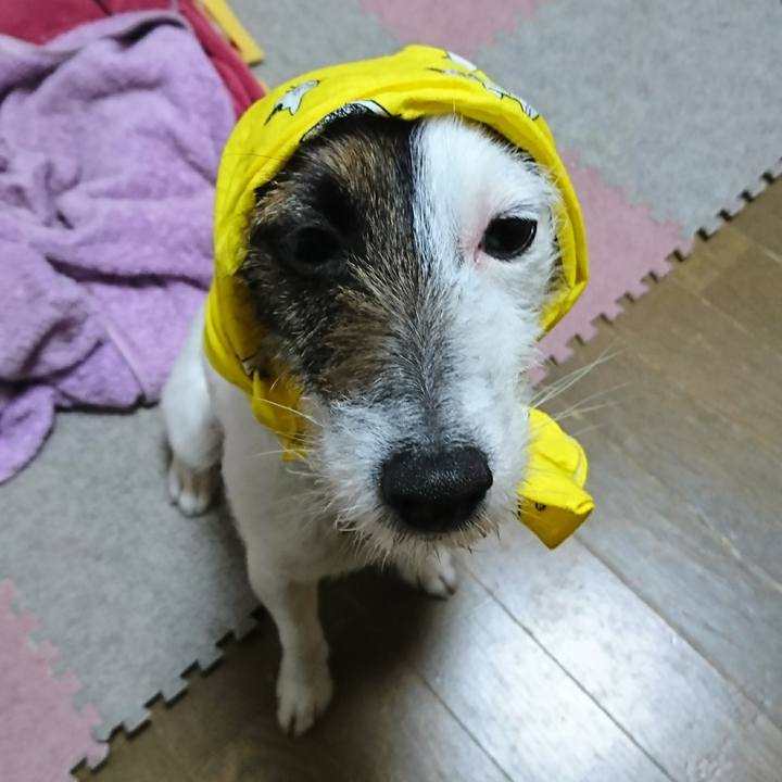 C90a3fe9 7bb2 4a81 8445 d61f128d516d