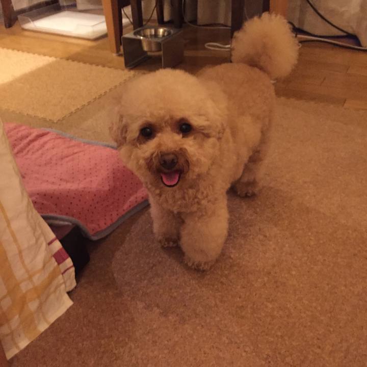 C90a9473 6b01 4ba5 b9fa 4c2c764fc357