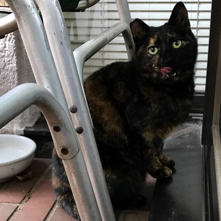 C90b1699 0828 4c55 9ef5 7243a0d83369