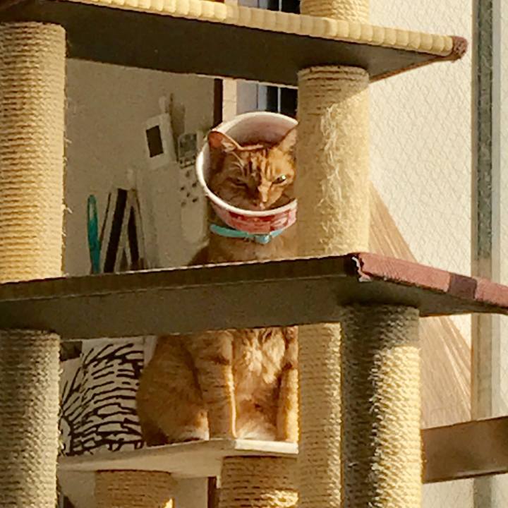 C90b780b acc8 475d a69a ac993bc4f45c