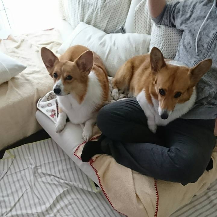 C90bb7aa 669b 4583 a041 8b3864104fe8