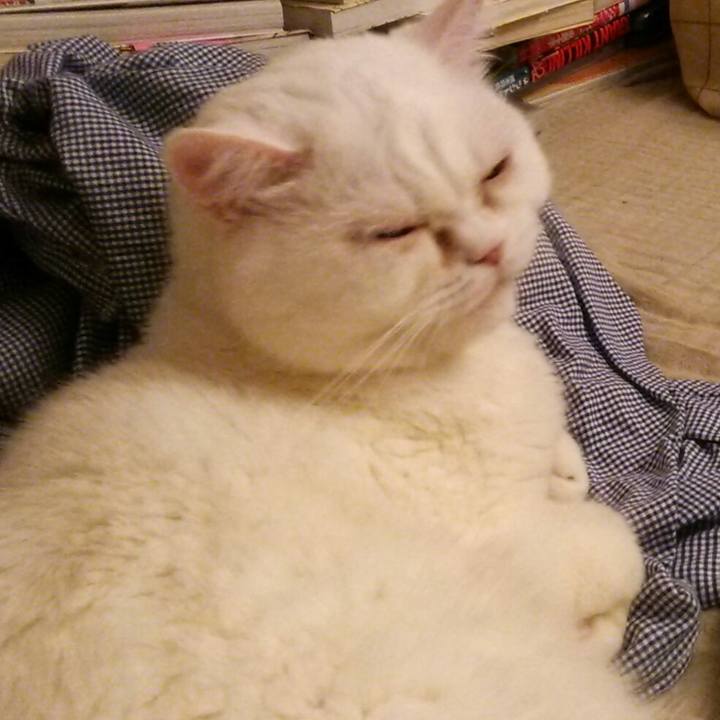 C90bb918 7157 4120 863a c321a2fcb4cf